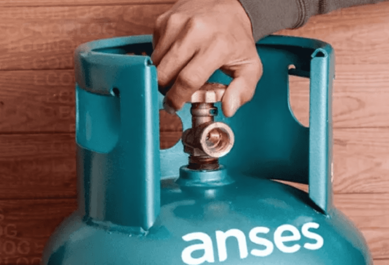 programa hogar anses (1)
