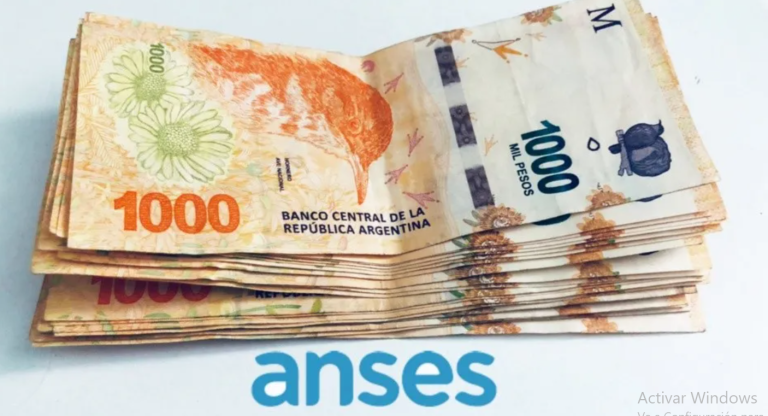 ansess-1-1