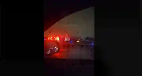 fdbvrtbg